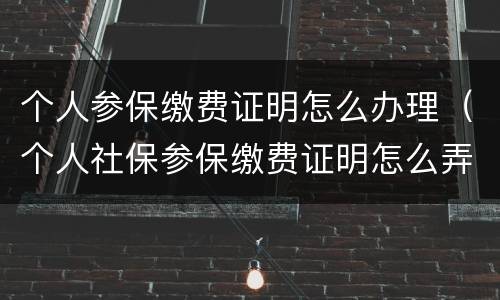 个人参保缴费证明怎么办理（个人社保参保缴费证明怎么弄）