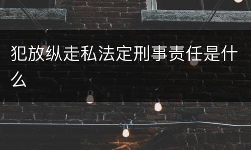 犯放纵走私法定刑事责任是什么