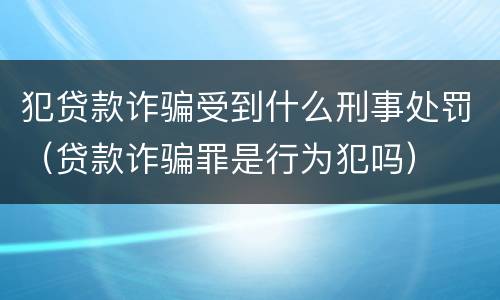 犯贷款诈骗受到什么刑事处罚（贷款诈骗罪是行为犯吗）
