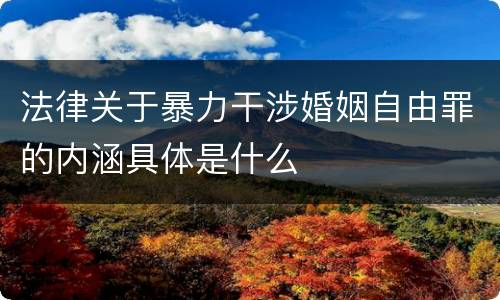 法律关于暴力干涉婚姻自由罪的内涵具体是什么