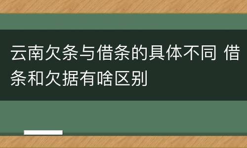 云南欠条与借条的具体不同 借条和欠据有啥区别