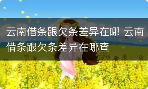 云南借条跟欠条差异在哪 云南借条跟欠条差异在哪查