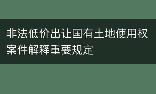 非法低价出让国有土地使用权案件解释重要规定