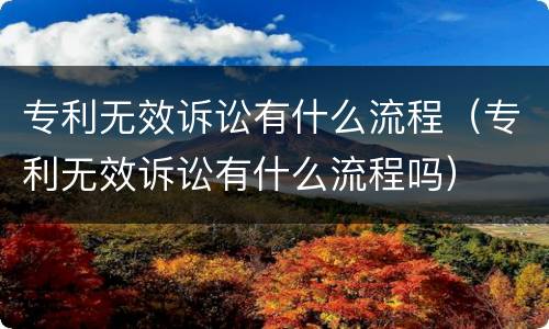 专利无效诉讼有什么流程（专利无效诉讼有什么流程吗）