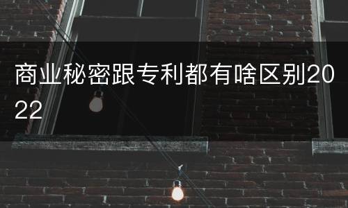 商业秘密跟专利都有啥区别2022