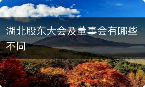 湖北股东大会及董事会有哪些不同