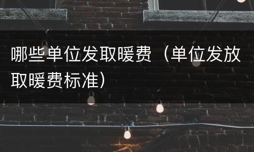 哪些单位发取暖费（单位发放取暖费标准）