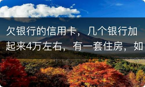 欠银行的信用卡，几个银行加起来4万左右，有一套住房，如果银行起诉会咋样