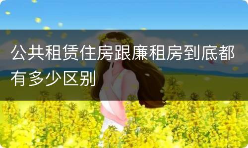 公共租赁住房跟廉租房到底都有多少区别