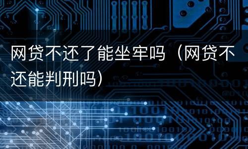 网贷不还了能坐牢吗（网贷不还能判刑吗）