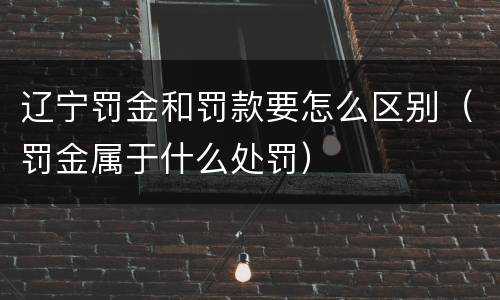 辽宁罚金和罚款要怎么区别（罚金属于什么处罚）