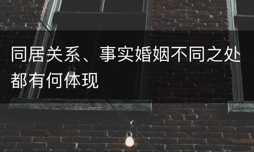 同居关系、事实婚姻不同之处都有何体现