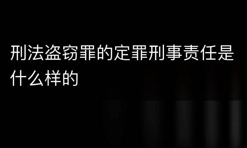 刑法盗窃罪的定罪刑事责任是什么样的