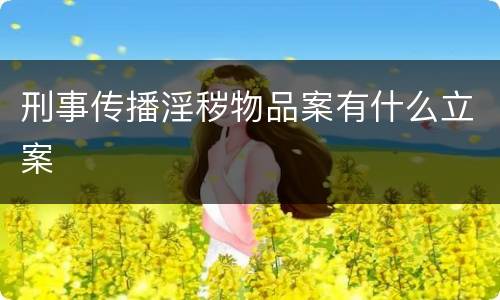 刑事传播淫秽物品案有什么立案