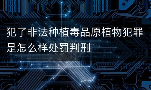 犯了非法种植毒品原植物犯罪是怎么样处罚判刑