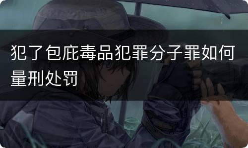 犯了包庇毒品犯罪分子罪如何量刑处罚