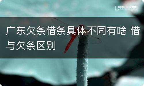 广东欠条借条具体不同有啥 借与欠条区别