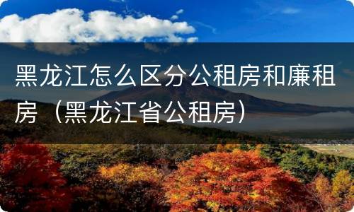 黑龙江怎么区分公租房和廉租房（黑龙江省公租房）