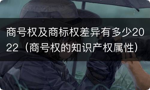 商号权及商标权差异有多少2022（商号权的知识产权属性）