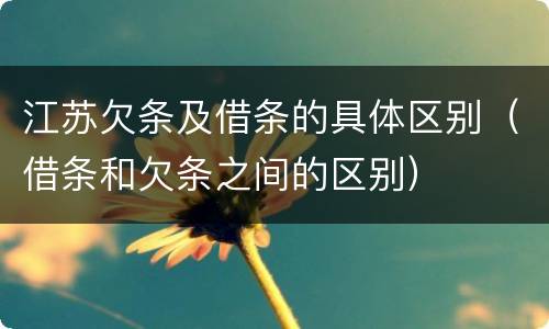 江苏欠条及借条的具体区别（借条和欠条之间的区别）