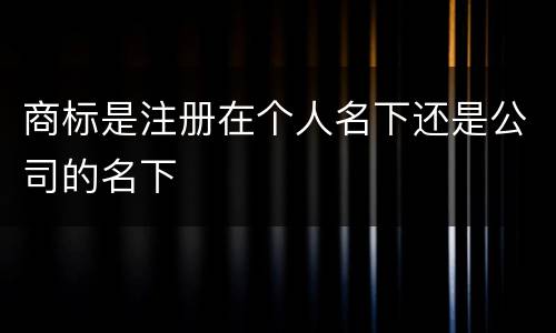 商标是注册在个人名下还是公司的名下