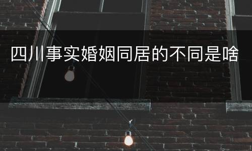 四川事实婚姻同居的不同是啥