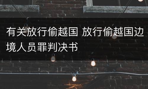 有关放行偷越国 放行偷越国边境人员罪判决书