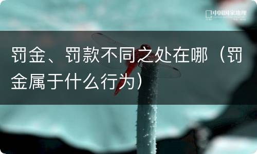 罚金、罚款不同之处在哪（罚金属于什么行为）