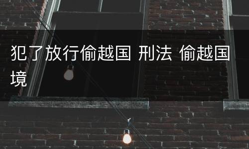 犯了放行偷越国 刑法 偷越国境