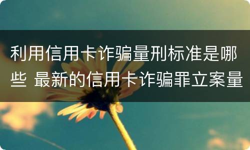 利用信用卡诈骗量刑标准是哪些 最新的信用卡诈骗罪立案量刑标准