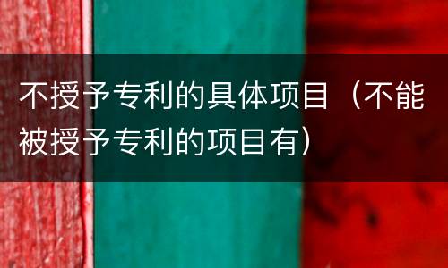 不授予专利的具体项目（不能被授予专利的项目有）