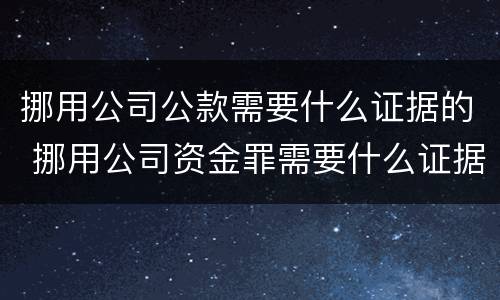 挪用公司公款需要什么证据的 挪用公司资金罪需要什么证据