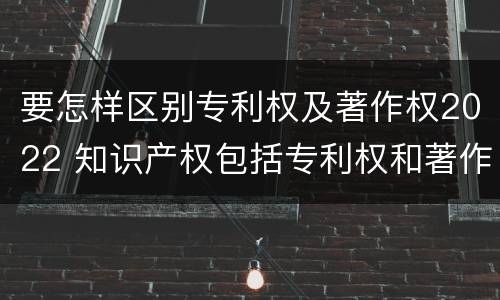 要怎样区别专利权及著作权2022 知识产权包括专利权和著作权吗