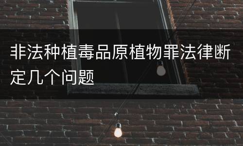 非法种植毒品原植物罪法律断定几个问题