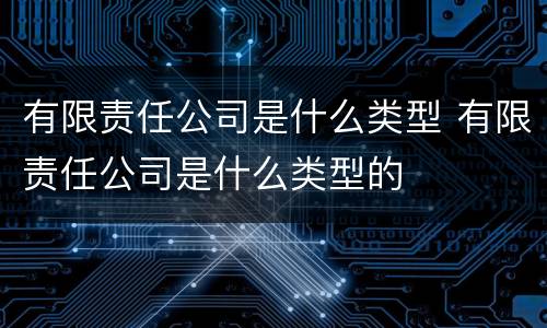 有限责任公司是什么类型 有限责任公司是什么类型的