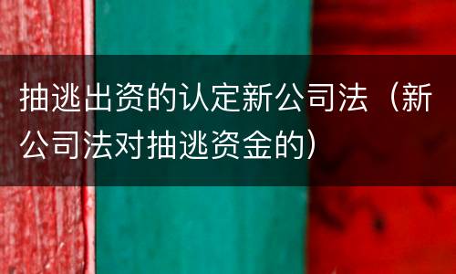 抽逃出资的认定新公司法（新公司法对抽逃资金的）