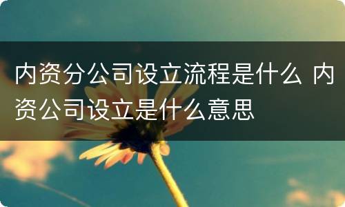 内资分公司设立流程是什么 内资公司设立是什么意思