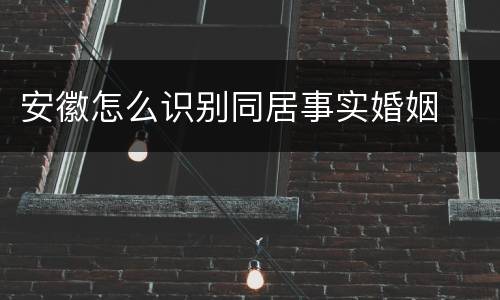 安徽怎么识别同居事实婚姻