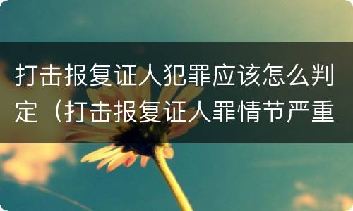 打击报复证人犯罪应该怎么判定（打击报复证人罪情节严重）