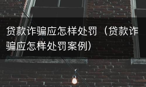 贷款诈骗应怎样处罚（贷款诈骗应怎样处罚案例）