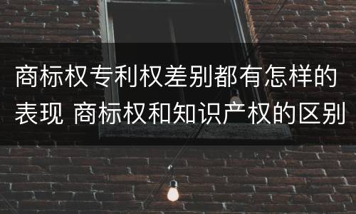 商标权专利权差别都有怎样的表现 商标权和知识产权的区别