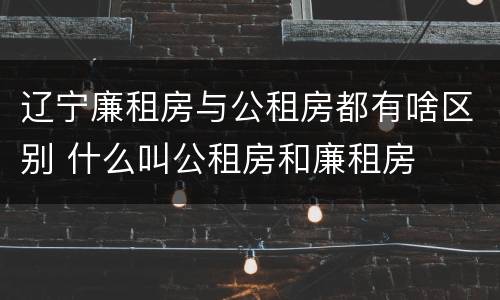 辽宁廉租房与公租房都有啥区别 什么叫公租房和廉租房