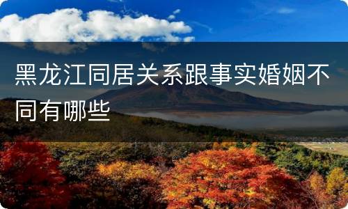 黑龙江同居关系跟事实婚姻不同有哪些
