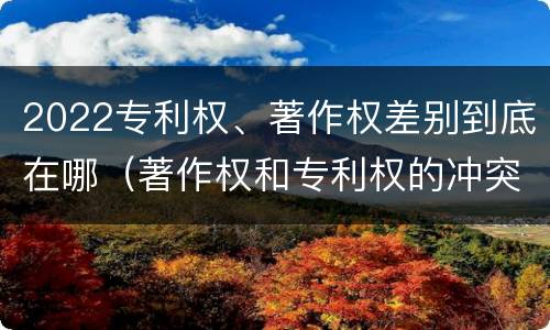 2022专利权、著作权差别到底在哪（著作权和专利权的冲突）