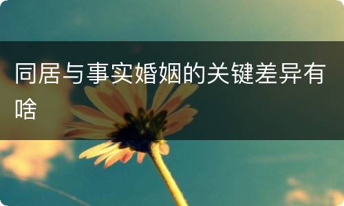 同居与事实婚姻的关键差异有啥