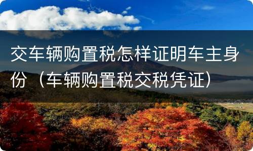 交车辆购置税怎样证明车主身份（车辆购置税交税凭证）
