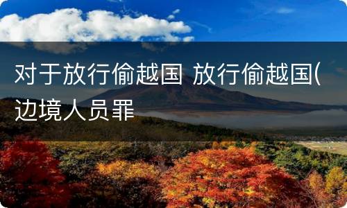 对于放行偷越国 放行偷越国(边境人员罪