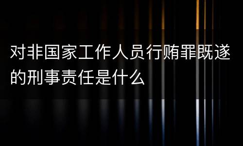 对非国家工作人员行贿罪既遂的刑事责任是什么