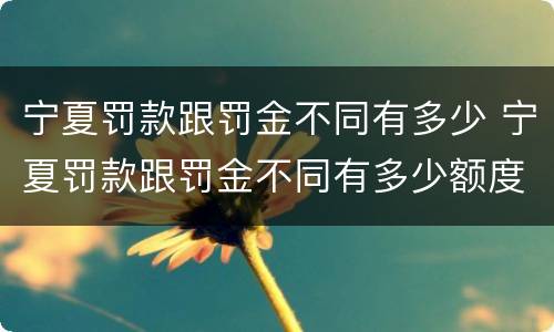 宁夏罚款跟罚金不同有多少 宁夏罚款跟罚金不同有多少额度