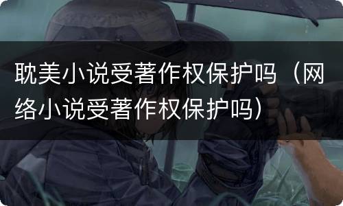 耽美小说受著作权保护吗(网络小说受著作权保护吗)